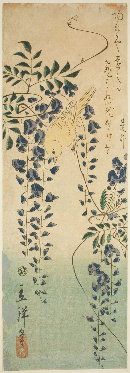 Kanárské a vistárie od Utagawa Hiroshige II