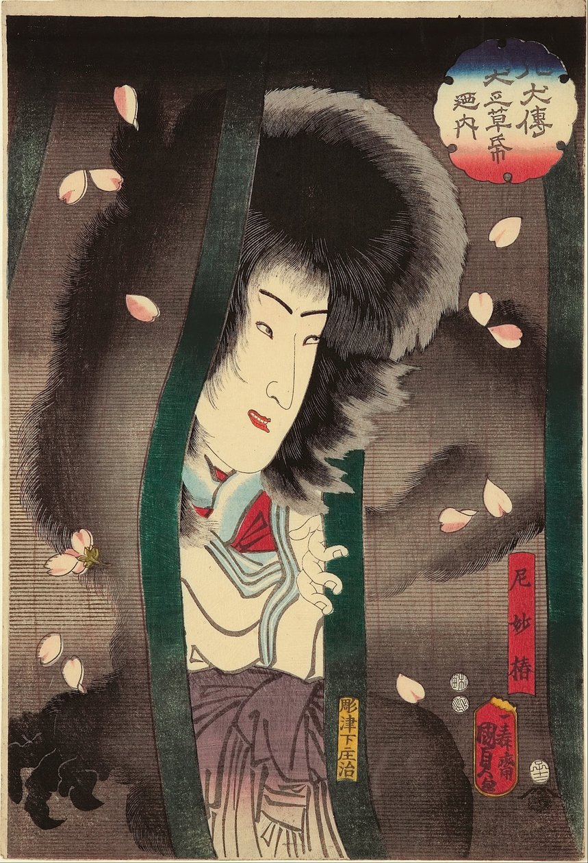 Jeptiška kočka (Ama Myochin) (herec Segawa Kikunojo V), XII/1852 ze série „Ze psí pohádky, příběh osmi psích hrdinů (Hakkenden inu no soshi no uchi)“ od Utagawa Kunisada II