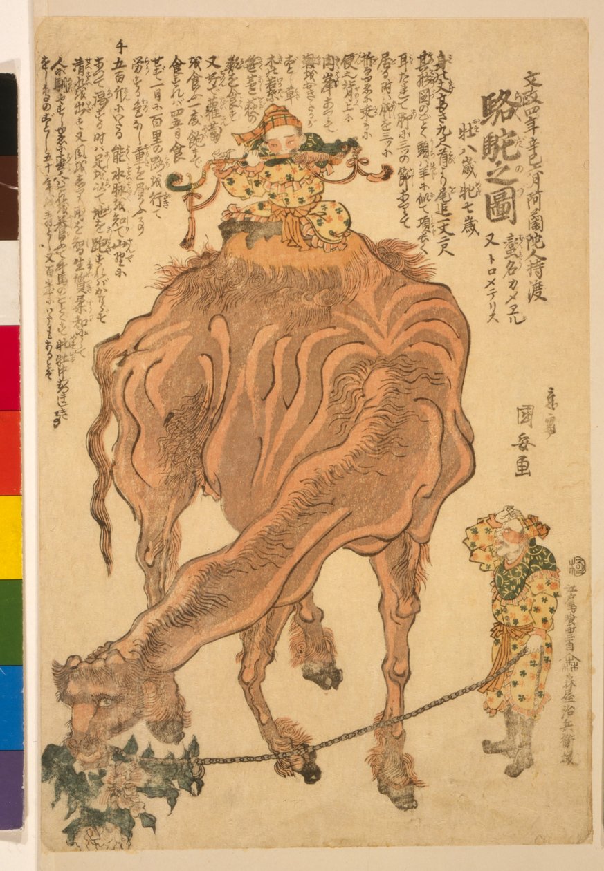 Velbloud, hospoda. 1824 (ručně kolorovaný dřevoryt) od Utagawa Kuniyasu