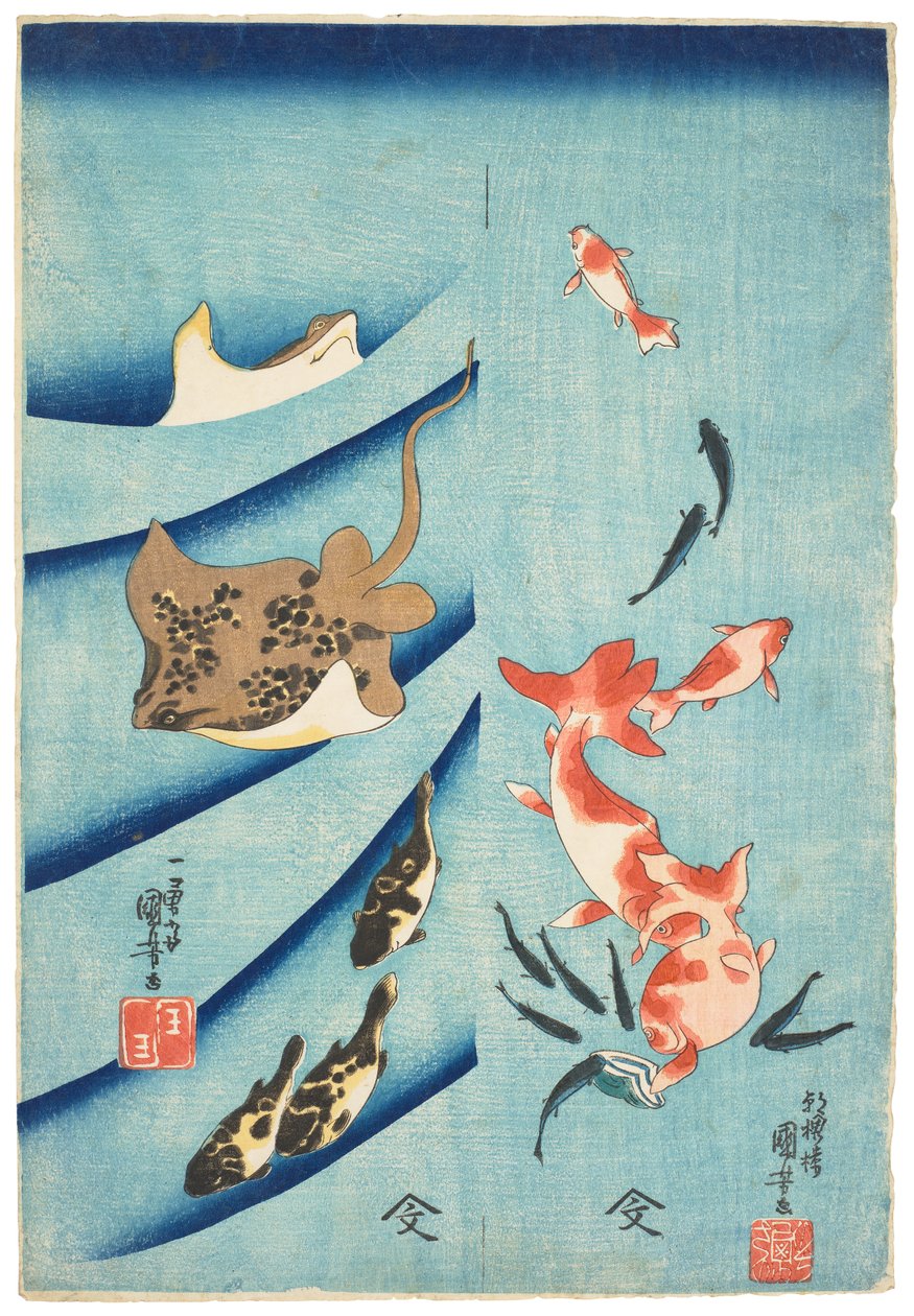 Zlatá rybka, rybka, racek a pstruh, asi 1837 (dřevoryt) od Utagawa Kuniyoshi