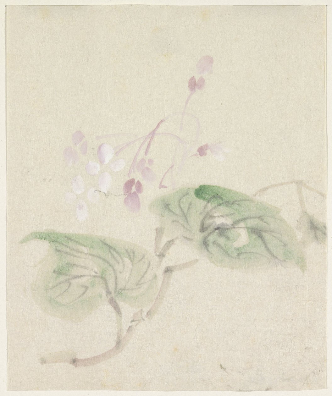 Roze wisteria od Utagawa Kuniyoshi