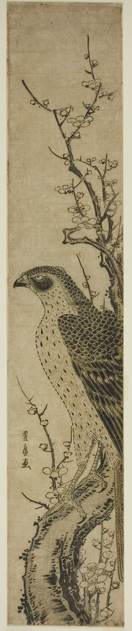 Jestřáb na třešni od Utagawa Toyohiro