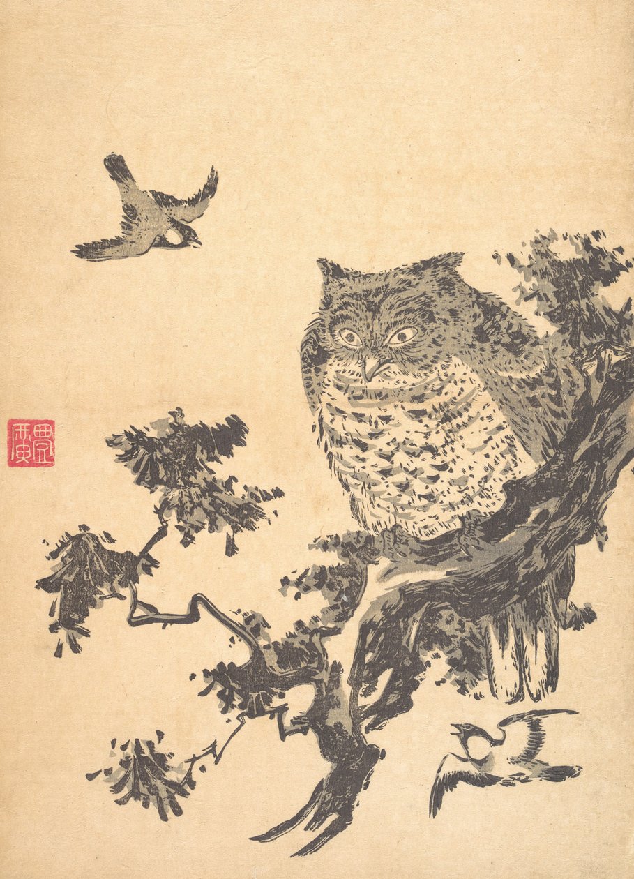 Sova a dvě vlaštovky. od Utagawa Toyohiro