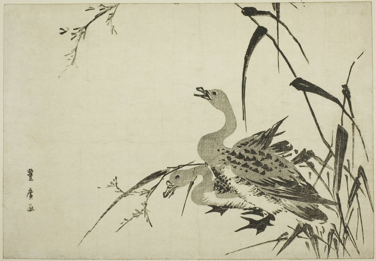 Divoké husy a rákosí od Utagawa Toyohiro