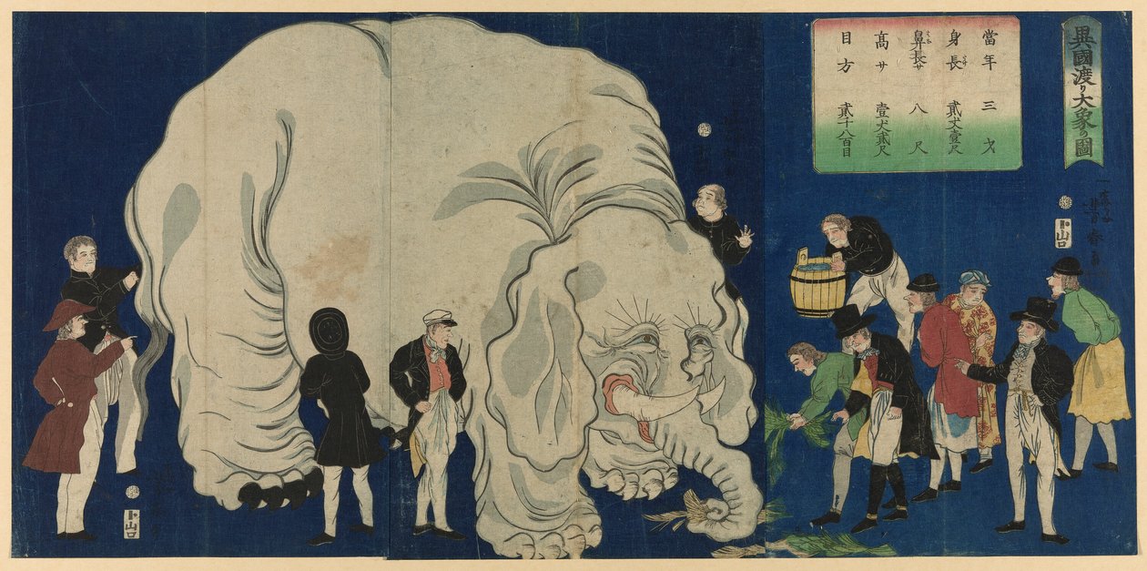 Velký slon z cizí země (Ikoku watari dai zo no zu) od Utagawa Yoshiharu