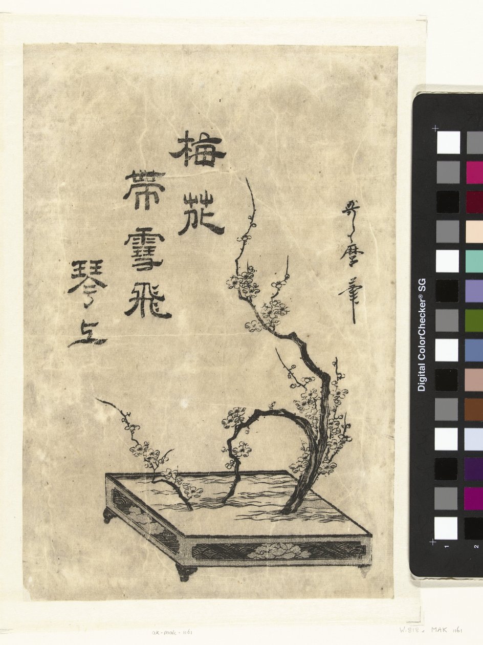 švestkové větve od Utamaro (II) , Kitagawa (attributed to)
