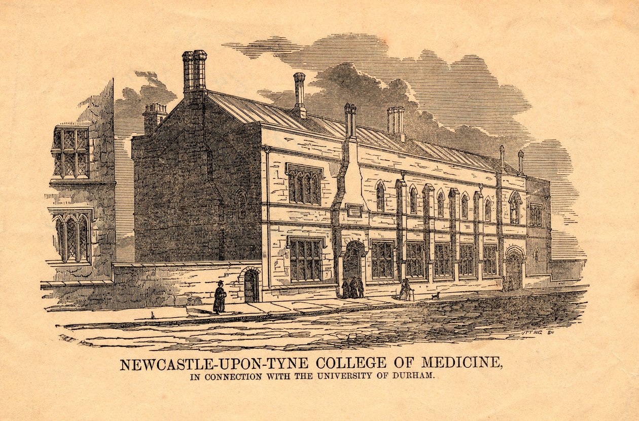 College of Medicine, Newcastle upon Tyne od Utting