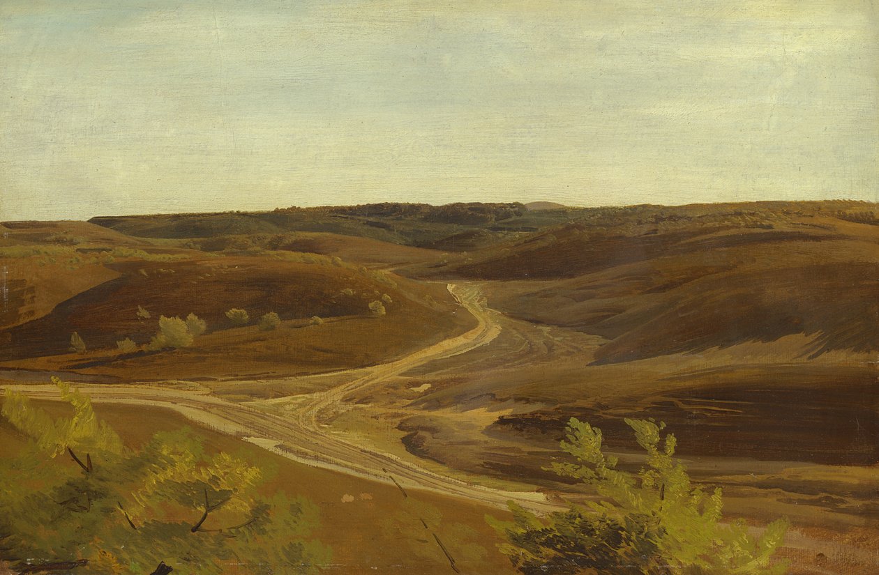 The Moorland near Ehestorf, 1868 (olej na papíře na palubě) od Valentin Ruths