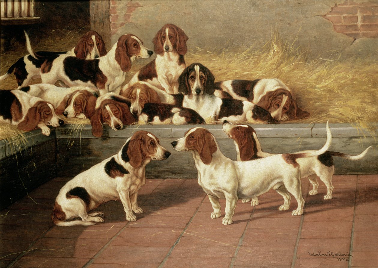 Basseti v chovatelské stanici, 1894 od Valentine Thomas Garland