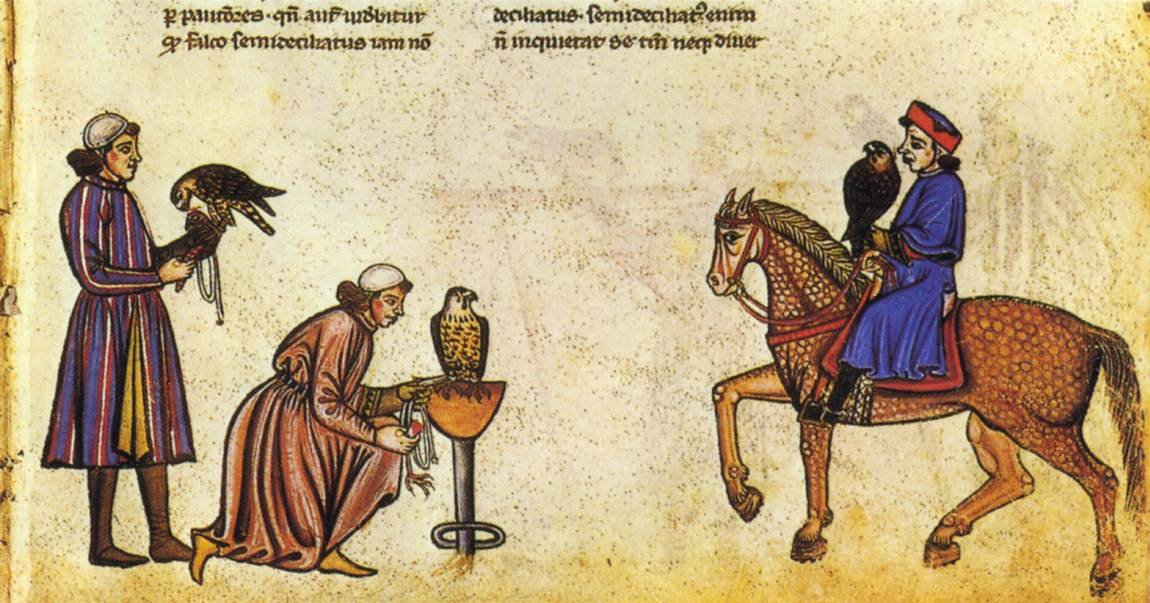 Sokolnická kniha Fridricha II od Vatican Library