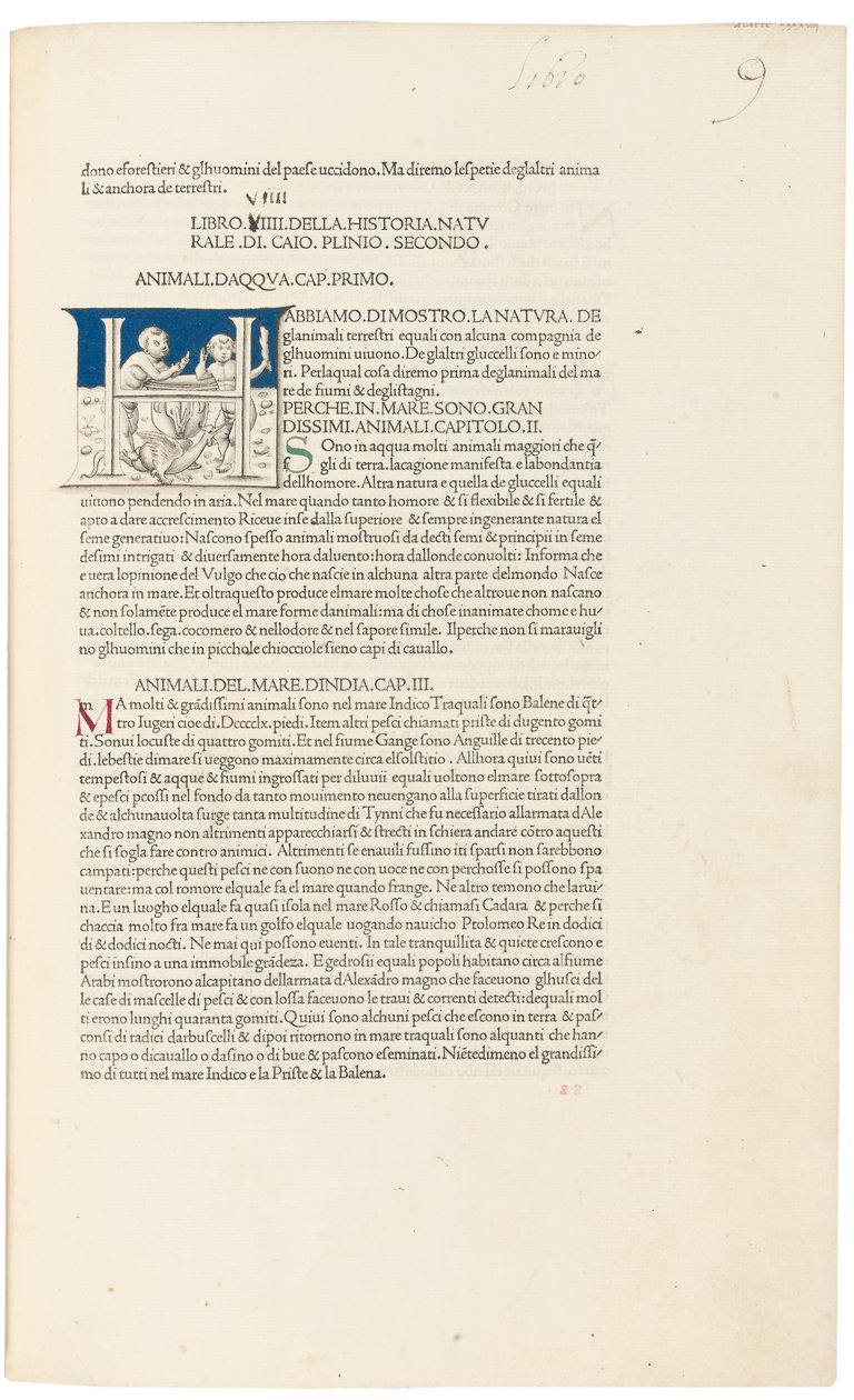 „Historia Naturalis“ od Plinia staršího od Venetian School