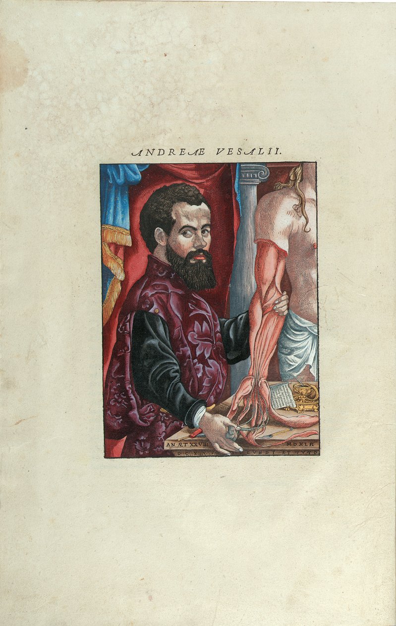 Portrét Andrease Starra z „De Humani Corporis Fabrica Libri Septem“ od Andrease Starra (1514-64), vydal Johannes Oporinus, Basilej, červen 1543 (barevný dřevoryt) od Venetian School