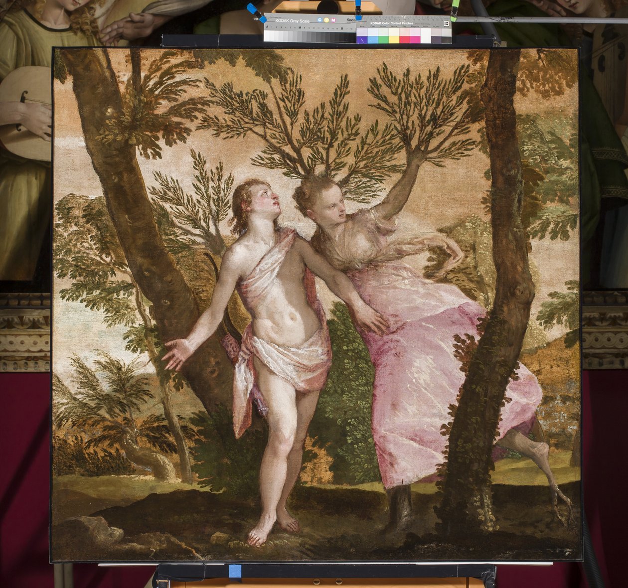 Apollo a Daphne, kolem 1560-65 od Paolo Veronese