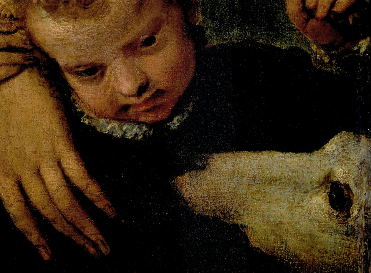 Portrét ženy s dítětem a psem, detail hlav dítěte a psa detail olej na plátně 95739 od Paolo Veronese