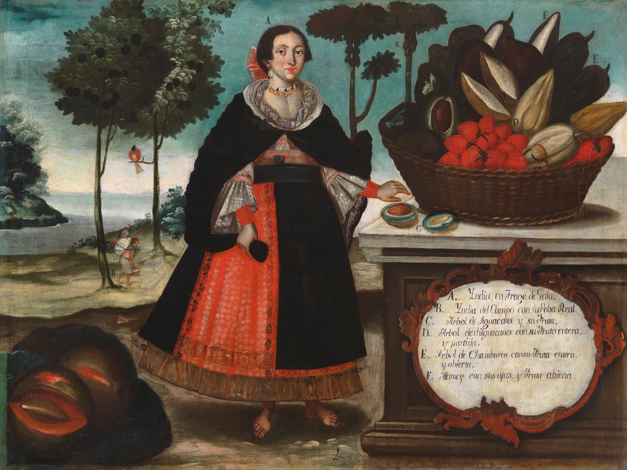 Indka ve zvláštním oděvu, c.1783 od Vicente Alban