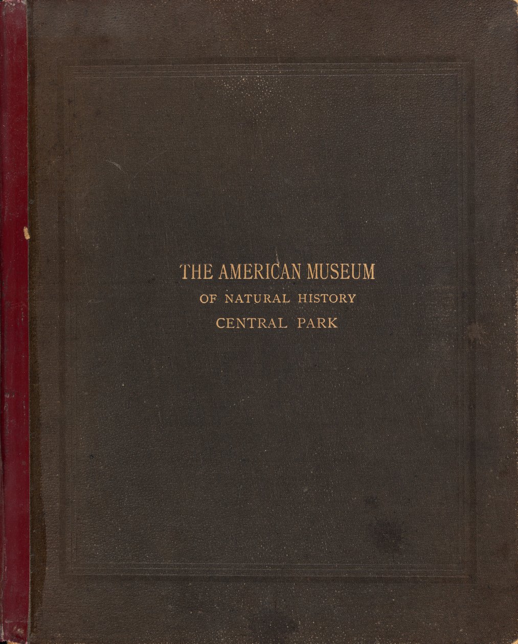 Fotografické album Amerického muzea přírodní historie, Central Park, New York City od Victor Prevost, Gaston L. Feuardent and Co., New York
