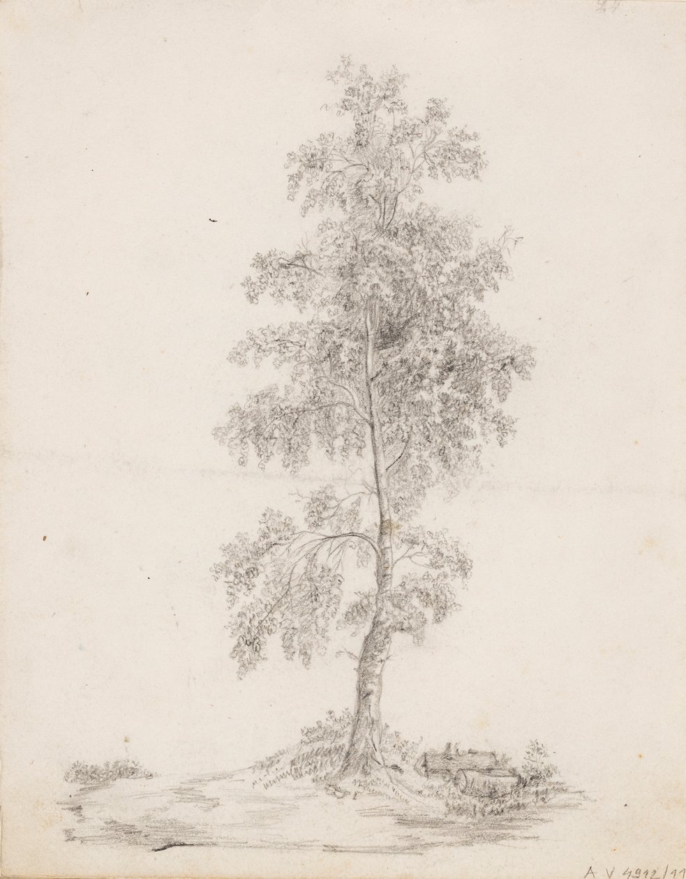 Birch od Victoria Åberg