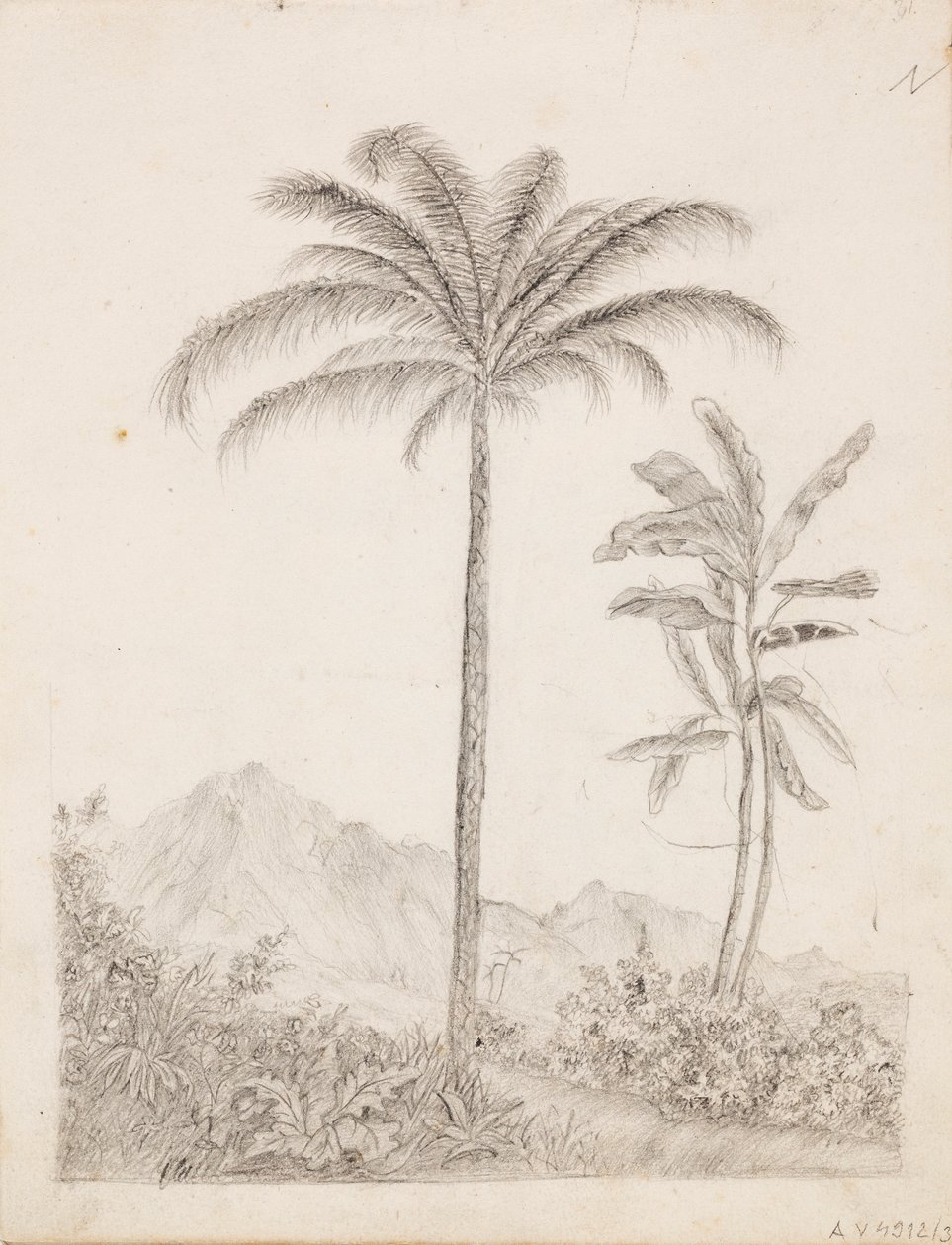 Palmy od Victoria Åberg