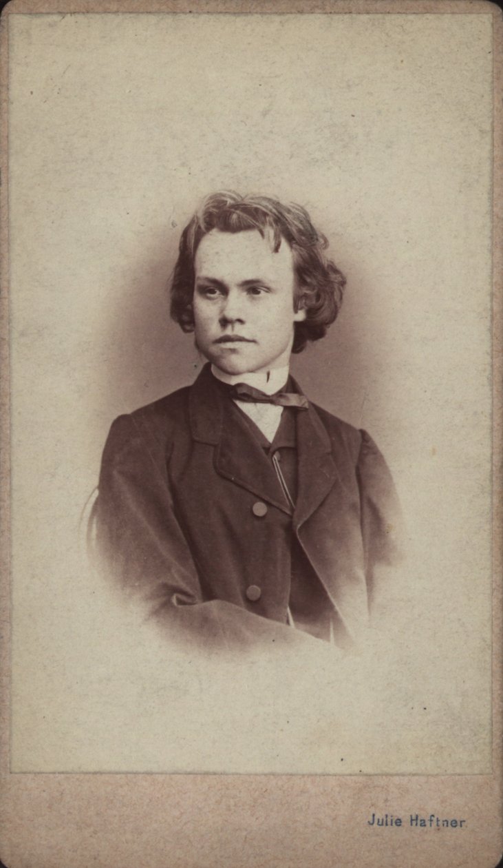 Portrét skladatele Antona Rubinsteina 1829-1894. od Vienna . Photo studio Julie Haftner