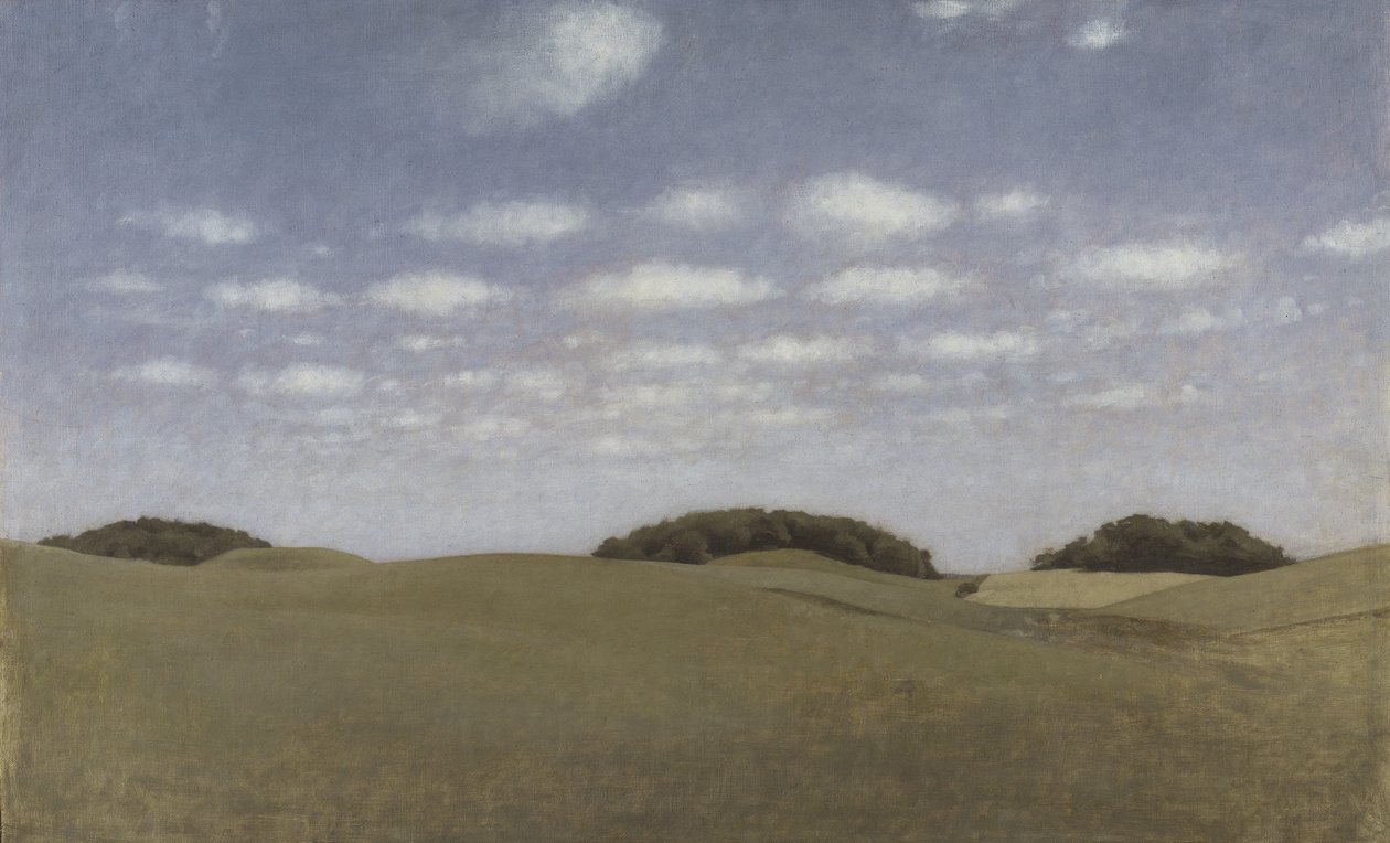 Krajina z Lejre, 1905 od Vilhelm Hammershoi