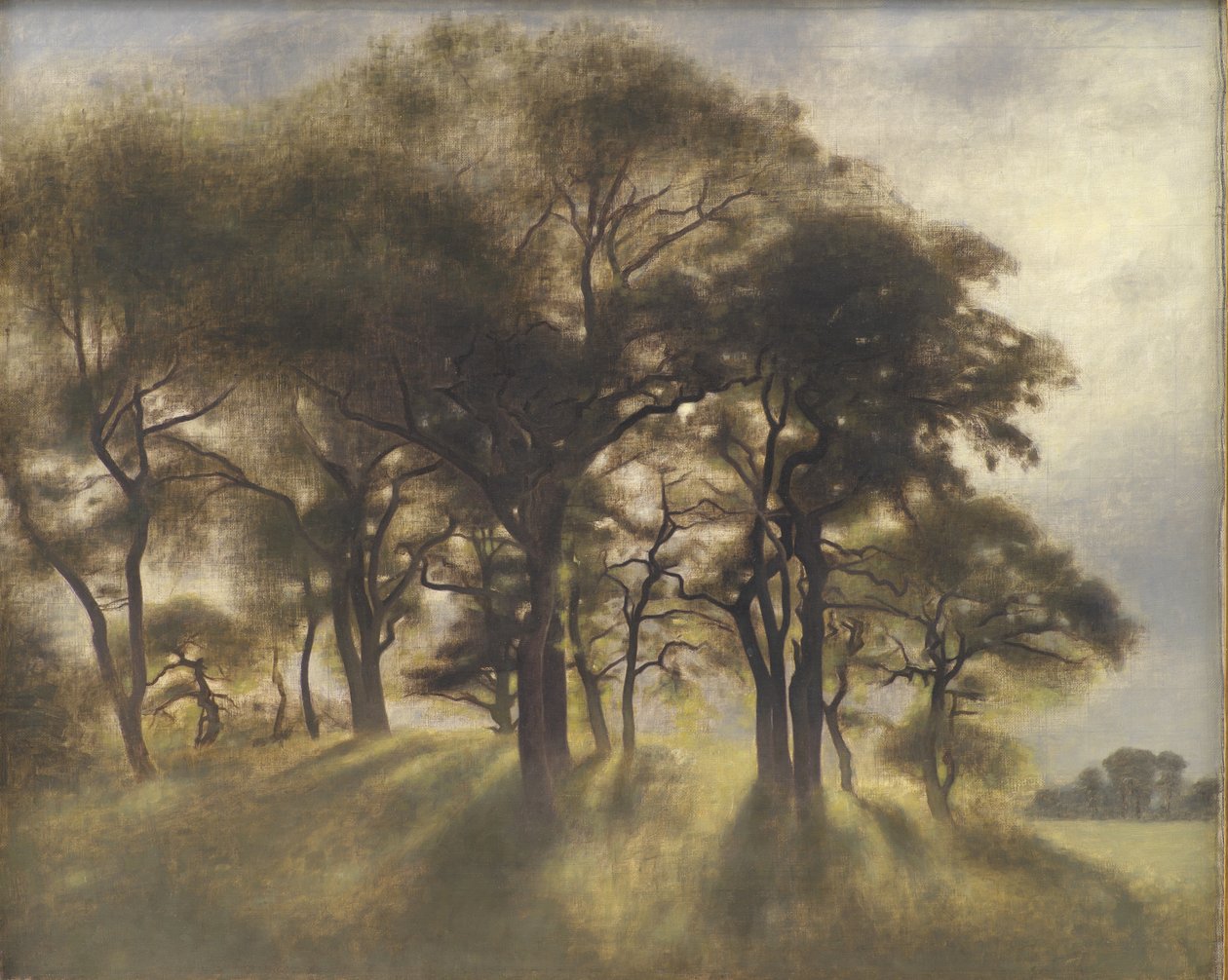 Blízko Fortunen, Jægersborg Deer Park, severně od Kodaně od Vilhelm Hammershøi