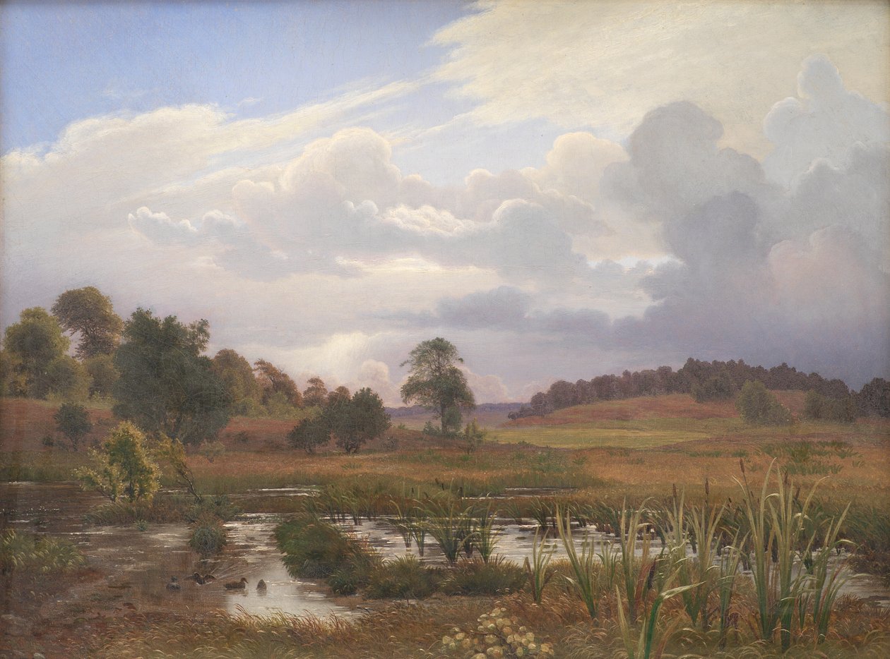 Krajina poblíž lesa North Forest, Jægerspris, Zéland od Vilhelm Kyhn