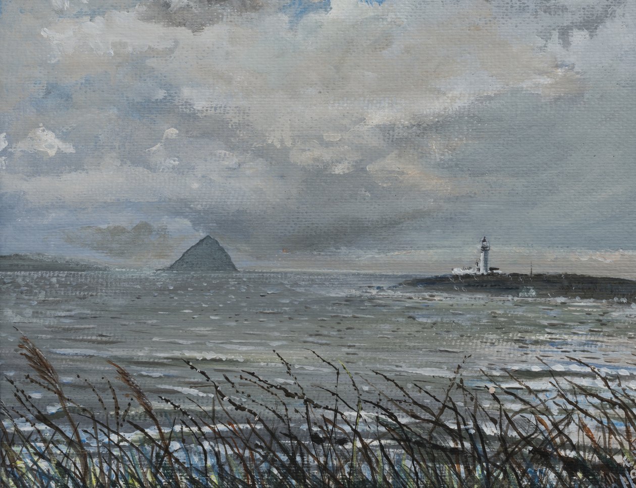 Ailsa Craig z Arranu, 2007, (akryl na plátně) od Vincent Alexander Booth