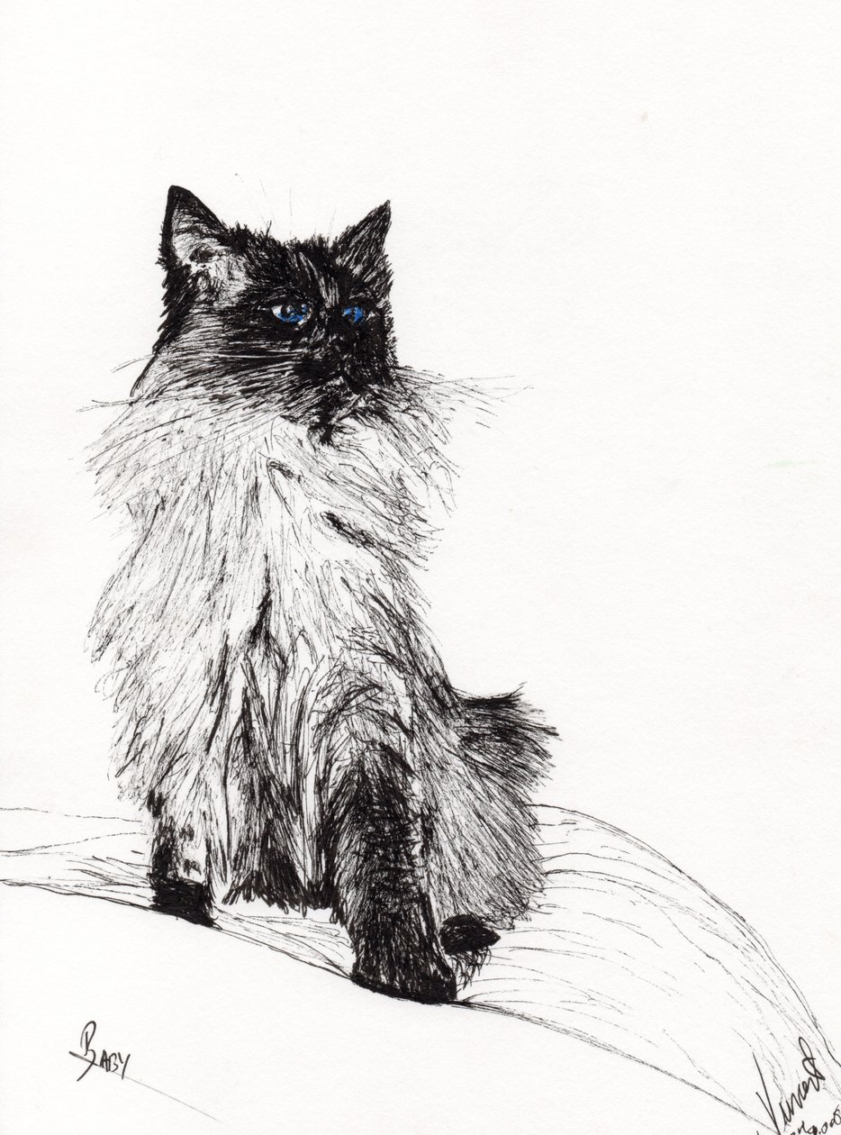 Baby, 2008, (inkoust na papíře) od Vincent Alexander Booth