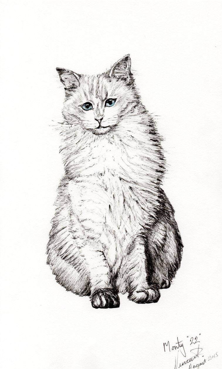 Chlapec, 2015, (inkoust na papíře) od Vincent Alexander Booth