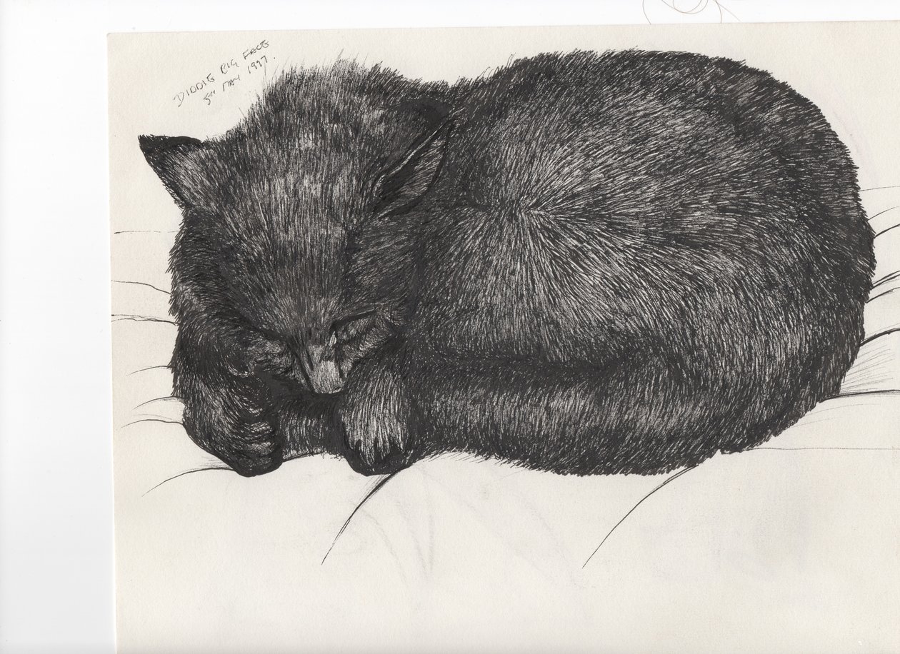 Diddy big face, 1997, (inkoust na papíře) od Vincent Alexander Booth