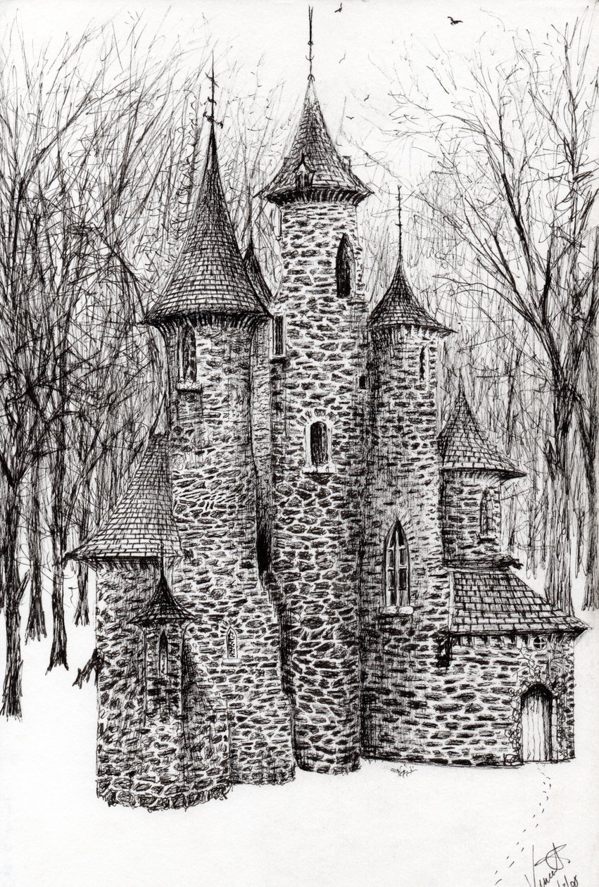 Brána hradu v lese Findhorn, 2006, (inkoust na papíře) od Vincent Alexander Booth