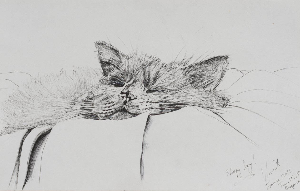 Monty ospalý chlapec, 2013, (tuš na papíře) od Vincent Alexander Booth
