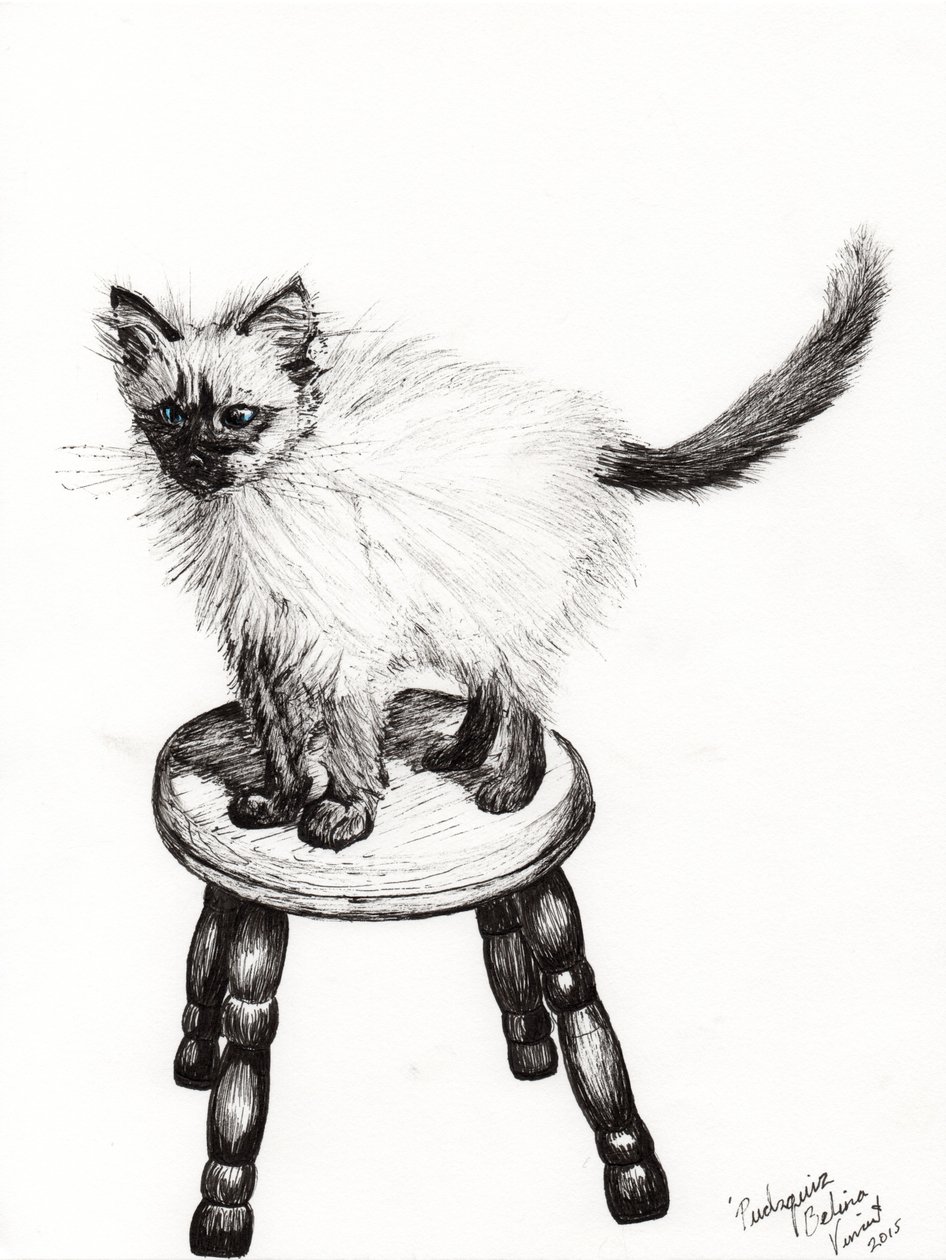 Pudsquiz Belina, 2015, (inkoust na papíře) od Vincent Alexander Booth