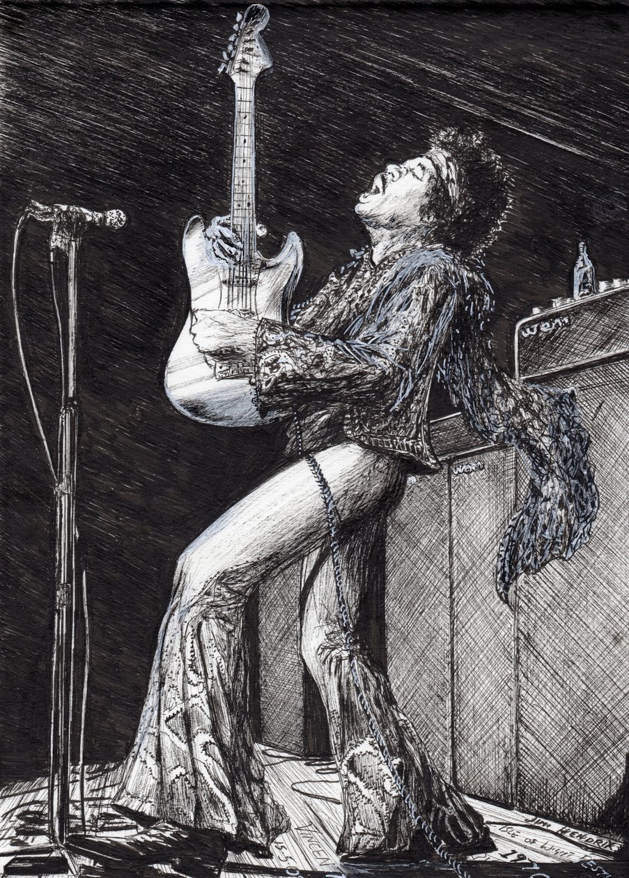 Rocková hvězda, 2009, (inkoust na papíře) od Vincent Alexander Booth