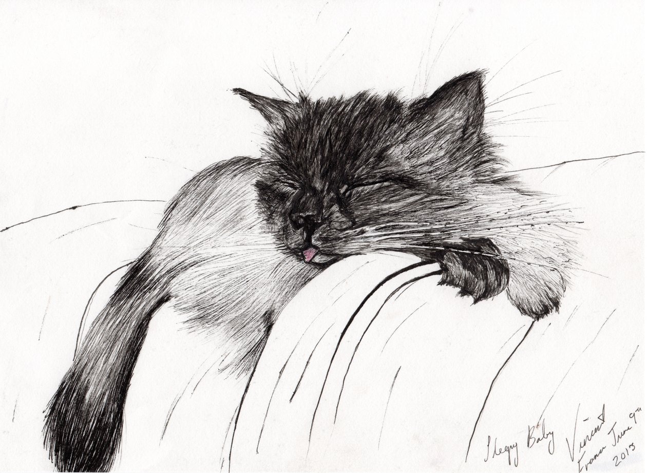 Sleepy Baby, 2013, (inkoust na papíře) od Vincent Alexander Booth