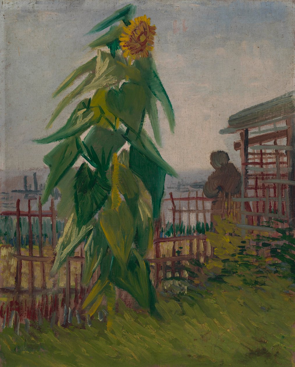 Pozemek se slunečnicí od Vincent van Gogh