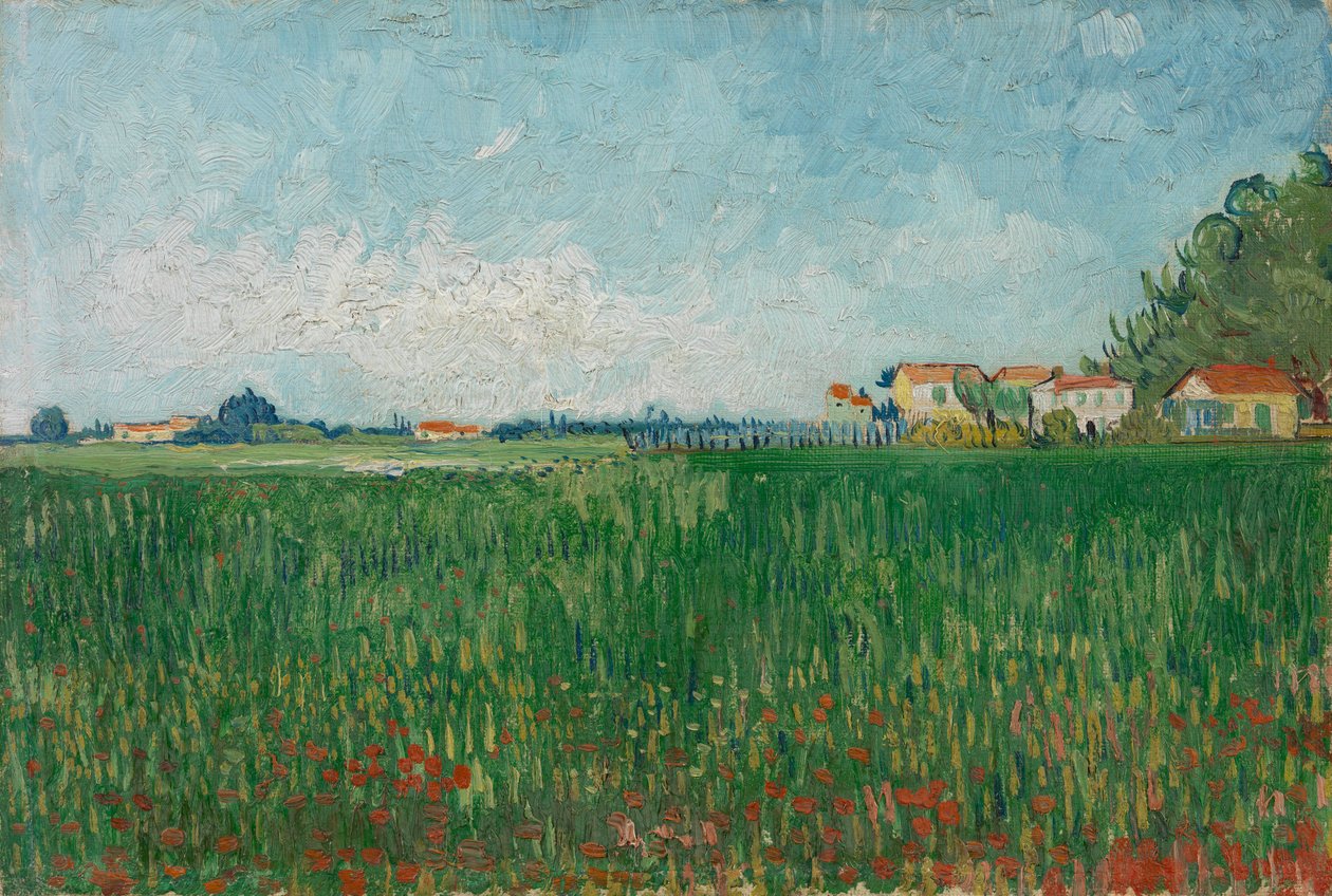 Pole s vlčí máky od Vincent van Gogh