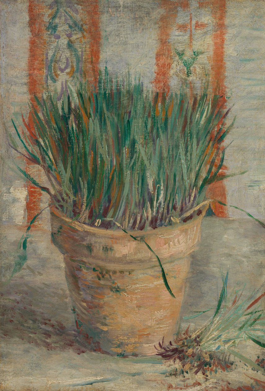 Květináč s česnekovou pažitkou od Vincent van Gogh