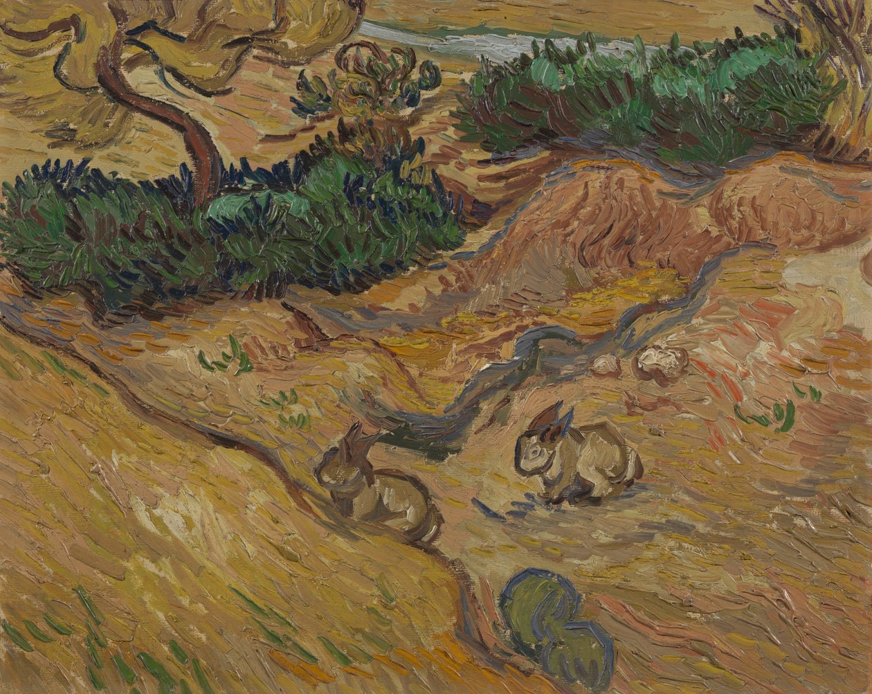 Krajina s králíky od Vincent van Gogh