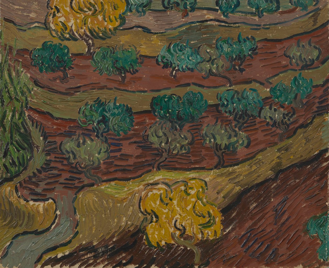 Olivovníky na stráni od Vincent van Gogh