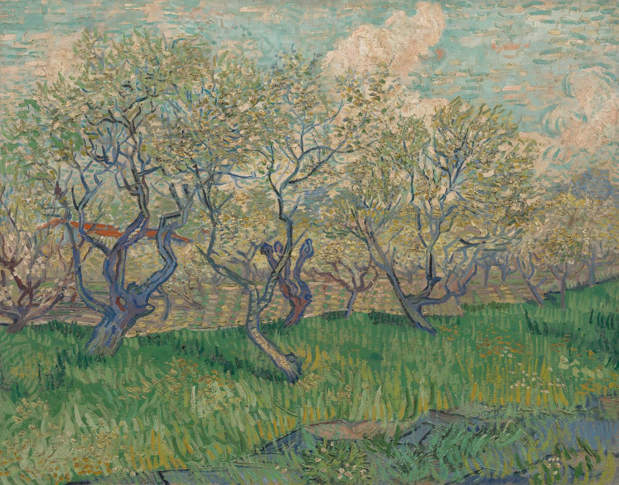 Sad v květu od Vincent van Gogh
