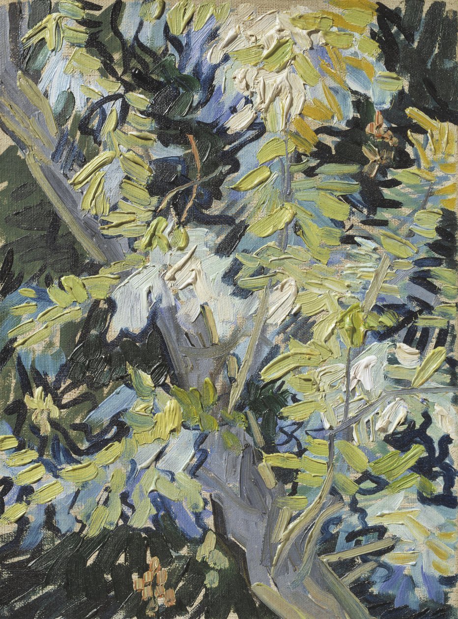 Akát v květu, kolem roku 1889 od Vincent van Gogh