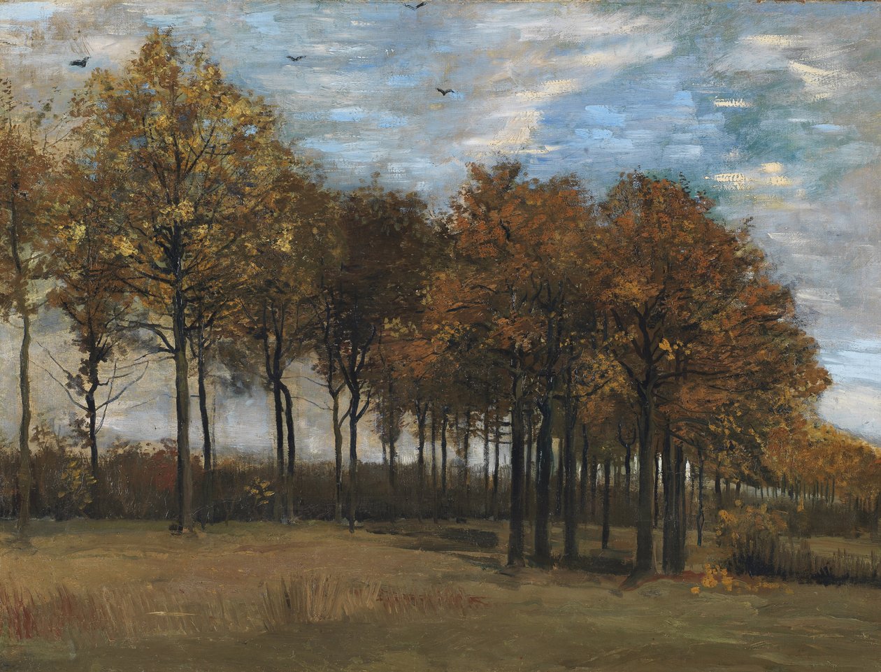 Podzimní krajina, cca 1885 (olej na plátně položeném na panelu) od Vincent van Gogh