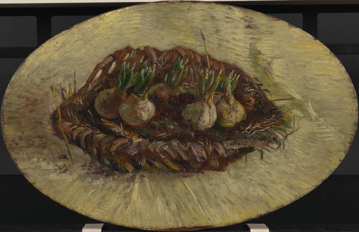 Košík žárovek Hyacintu od Vincent van Gogh