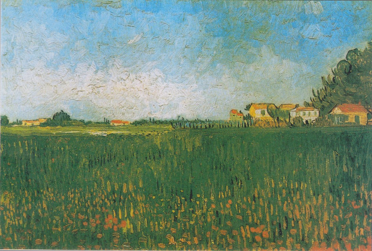 Stateky v pšeničném poli poblíž Arles od Vincent van Gogh