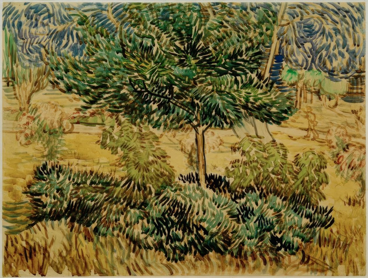 Strom a keře v zahradě sanatoria od Vincent van Gogh