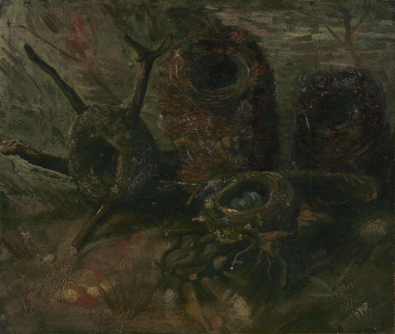 Ptačí hnízda od Vincent van Gogh