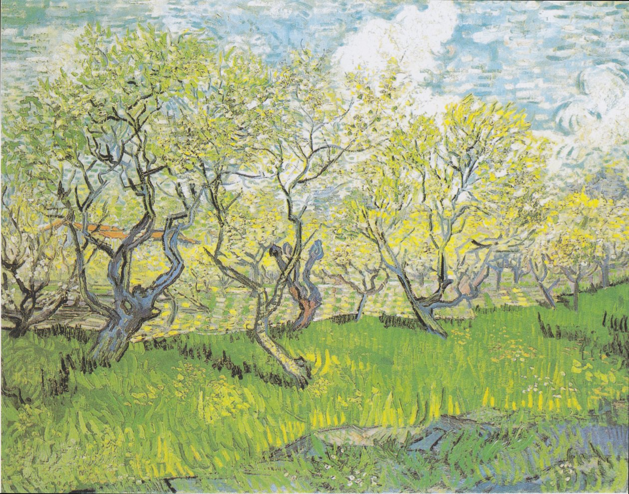 Kvetoucí sad 3 od Vincent van Gogh