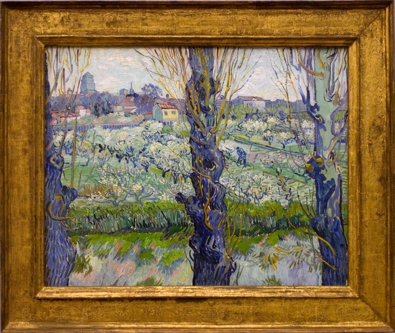 Pohled na Arles od Vincent van Gogh