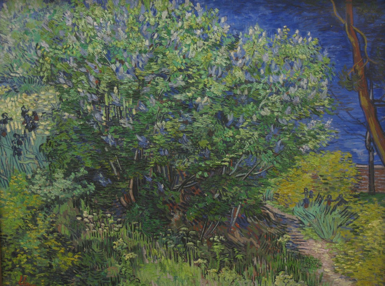 Keř od Vincent van Gogh